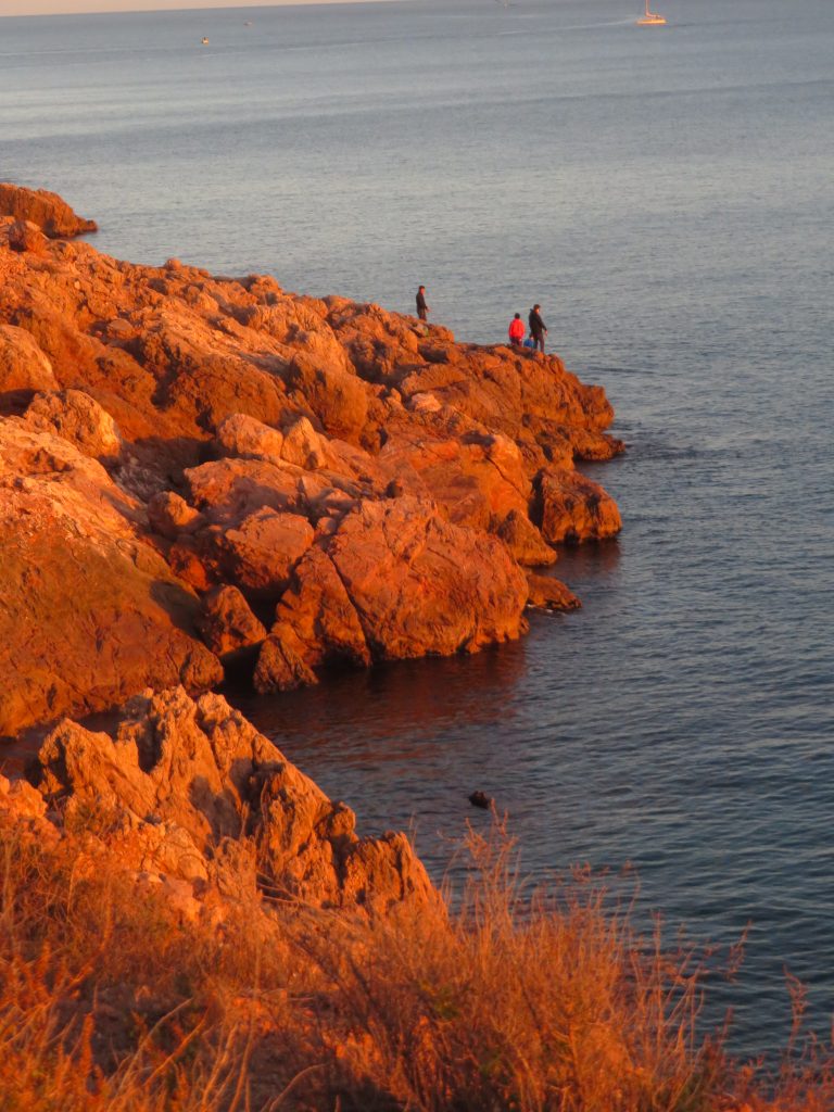 Mer ocre à Sète ( Hréraut)- Janvier 2024