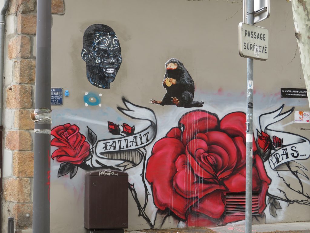 Street Art - in rue de Lyon- Tirage privé.