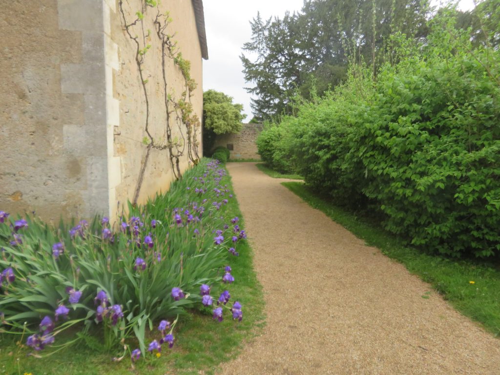 Les Iris du jardin, Domaine de NOHANT- Tirage privé.