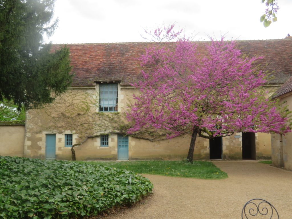 La cour de la Maison de George Sand - Arbre de Judée - Tirage privé.