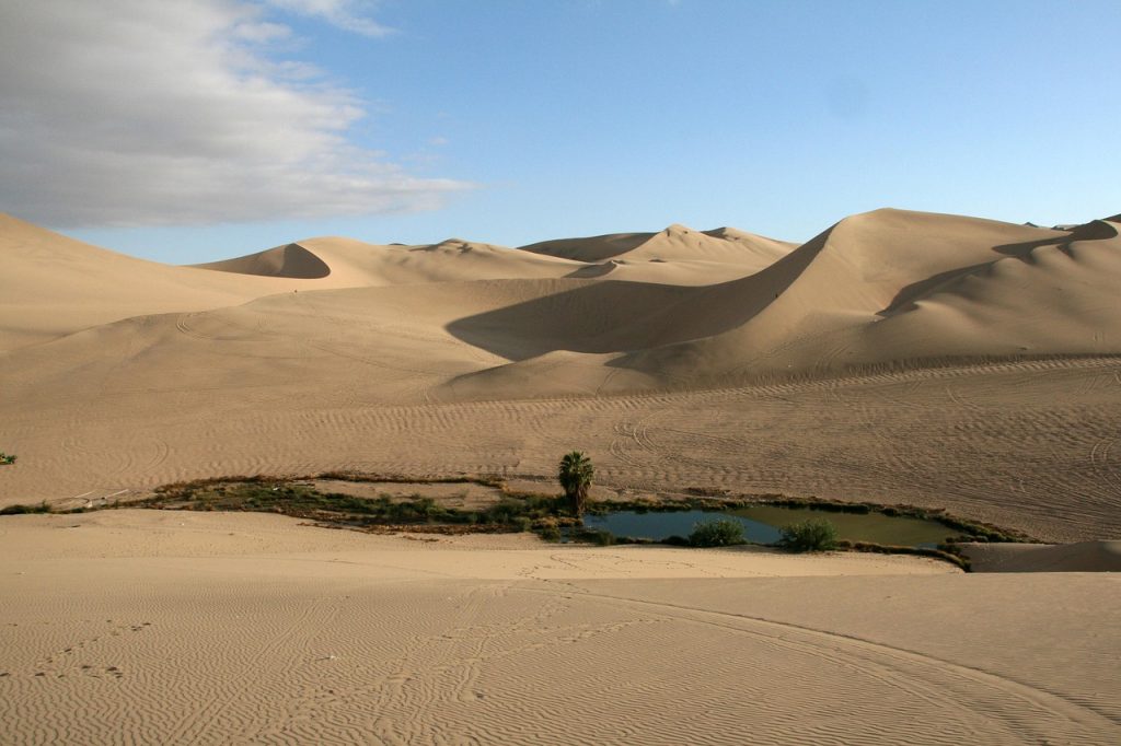 Oasis dans désert - source wikipedia